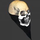 Motorcycle Riding Face mask Triangle with Skull print keep bugs dust cold out
