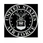 US Air Force Large Back Patch Black & White for Vest Jacket 10 inch