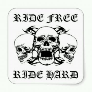 Ride Free Ride Hard Patch 3 Skulls for Biker Motorcycle Vest Jacket  new Size 5"