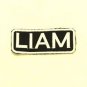 LIAM Name Tag Patch Iron on or sew on for Shirt Jacket Vest New Name Patches