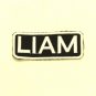 LIAM Name Tag Patch Iron on or sew on for Shirt Jacket Vest New Name Patches