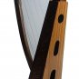 22 strings Lever harp Rose Wood Celtic Design New with Padded Gig Bag