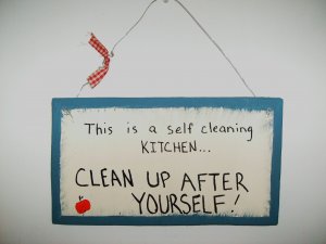 self cleaning kitchen...