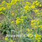 60pcs/lot original packaging Radix seed Chinese herbal medicine seeds medicinal value of plant