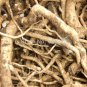60pcs/lot original packaging Radix seed Chinese herbal medicine seeds medicinal value of plant