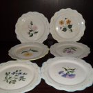 Set of 6  dessert dish by Secla Portugal with diff floral paterns in center