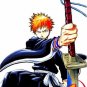 Bleach vol 1