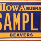 Iowa Buena Vista Beavers license plate Sample University College Storm Lake NCAA