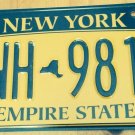 Gold Empire State license plate GNH 9811 Graphic USA NY New York City Manhattan