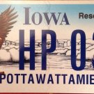 Eagle license plate Accipitridae feather wing Bird of prey raptor talon claws