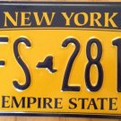 Gold Empire State license plate GFS 2810 Graphic USA NY New York City Manhattan