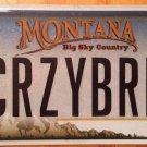 MT vanity CRAZY BIRD Thunderbird license plate Sports Muscle Car Ford Roadster