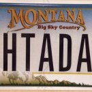 MT vanity WHaT A DAY license plate Song Wedding Idiom Disaster Disappointed