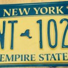 Gold Empire State license plate GNT 1026 Graphic USA NY New York City Manhattan