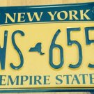 Gold Empire State license plate GNS 6559 Graphic USA NY New York City Manhattan