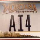 MT vanity AI 4 license plate Alan Allen Anthony Alex Alvin Aaron Angela Amy Anna