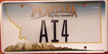 MT vanity AI 4 license plate Alan Allen Anthony Alex Alvin Aaron Angela Amy Anna