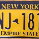 Gold Empire State license plate GNJ 1819 Graphic USA NY New York City Manhattan