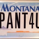 MT vanity PAiNT 4 U license plate Artist Painter Brushes Color Drawing Painting