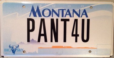 MT vanity PAiNT 4 U license plate Artist Painter Brushes Color Drawing Painting