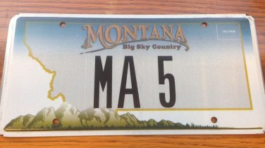 MT vanity MA 5 license plate Massasuchetts Melanie Maureen Michael Michele