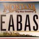Montana vanity SEA BASS license plate Fish Fishing Fisherman Angling Trout perch