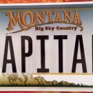 MT vanity CAPITAN Captain license plate Military Spanish Yosemite  Disney Navy