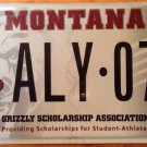 Montana Grizzly vanity ALY license plate Alistair Ali Scholarship Bear UM U Of M
