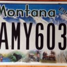 MT Share Enjoy vanity AMY license plate Ski Sports Fishing Bike Wild Bear #603