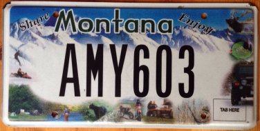MT Share Enjoy vanity AMY license plate Ski Sports Fishing Bike Wild Bear #603