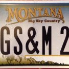 Montana vanity Lexus GS & ME Too license plate Toyota Sports Luxury Car 350