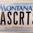 vanity NASCAR TS Truck Series license plate National Stock Car Auto Racing speed