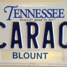 TN vanity 2 CAR RACE  Mustang License Plate Sports Racing NASCAR Ford BMW GM Lex