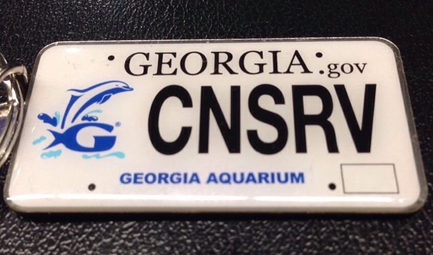 Key Ring Dolphin Aquarium License Plate Wildlife Marine Mammal Fish Sea