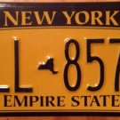 Gold Empire State license plate #GLL 8574 Graphic USA NY City New York Manhattan