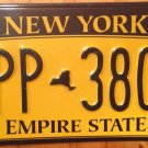 Gold Empire State license plate GPP 3804 Graphic USA NY City New York Manhattan