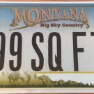 MT vanity 99 SQuare FeeT license plate House Hut Cottage Log cabin shed Home