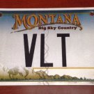 Vanity VLT license plate Very Large T Volt Long Term Vincent Valerie Victor Vick