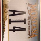 MT vanity AI 4 license plate
