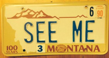 MR Centennial vanity SEE ME license plate Sports Car Luxury Rich Famous Pretty