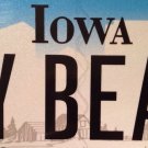 Vanity MY BEAR license plate grizzly teddy wild animal national park wildlife