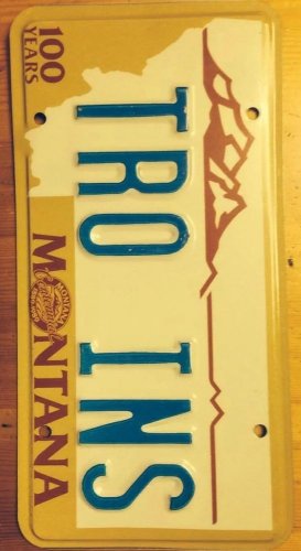 MT vanity TRO INS Instrument license plate