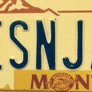 Vanity LES & JAS license plate