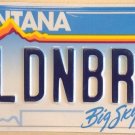 Montana vanity BLONDE & BRIGHT C license plate Christine Cari Caren