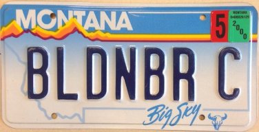 Montana vanity BLONDE & BRIGHT C license plate Christine Cari Caren