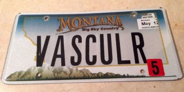 MT vanity VASCULAR license plate Blood Heart Disease Doctor Hospital Body Liquid