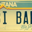 Vanity BI Sexual BAR license plate Bock Bainbridge Island Bisexual Alcohol Drink