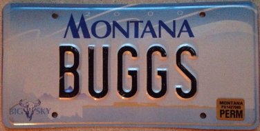 Vanity BUGGS BUGS license plate Bunny Cartoon Life Insect Bugsy Buggy Bugging