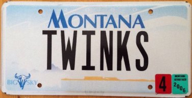 Vanity TWINKS license Plate Gay Skand Code Oride Young Man Youth Hair Sex Twink