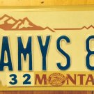 Montana Centennial vanity GAMYS 87 license plate 1987 Games Board Video